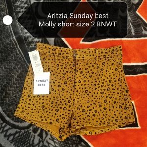 Aritzia molly short